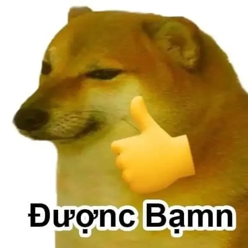 Meme dog funny làm bạn cười cả ngày