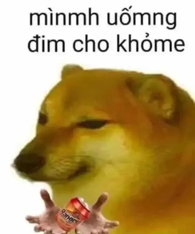 Avatar dog meme dễ thương và ngộ nghĩnh