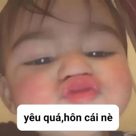 Hình nền meme hài hước cho thiết bị thêm phần độc đáo