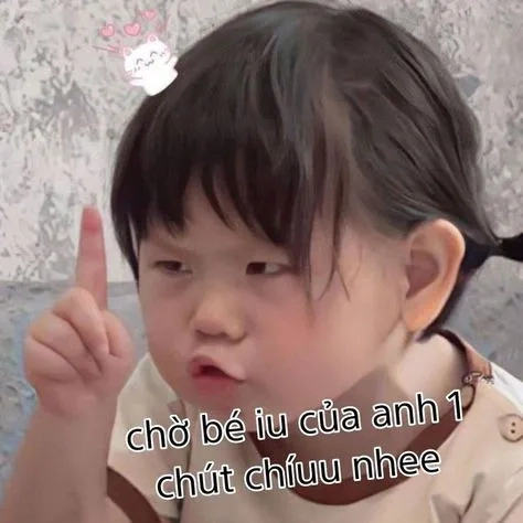 Khám phá bộ meme hài mèo độc đáo cho dân yêu thú cưng