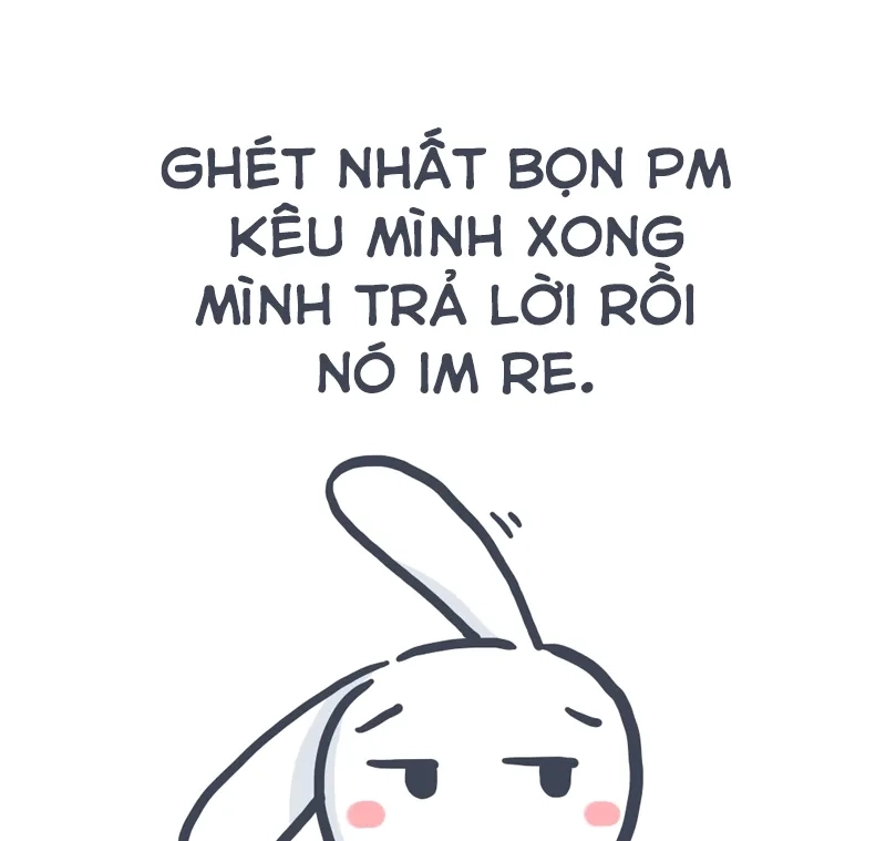 Meme thỏ đáng yêu siêu cute, làm sáng ngày của bạn