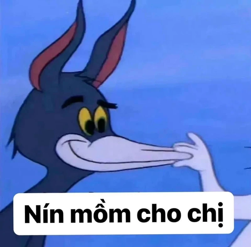 Thêm chút hài hước với ảnh meme mèo bựa cho ngày vui