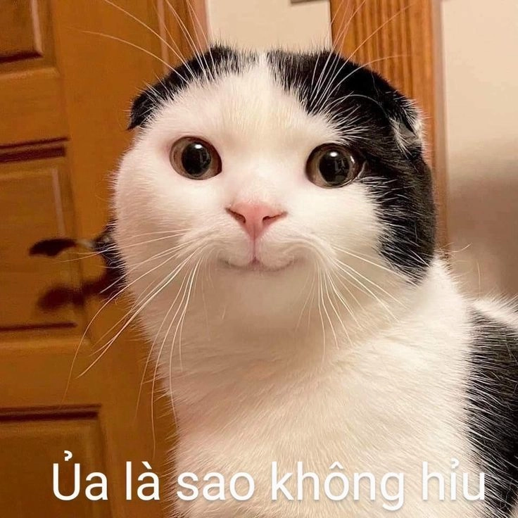 Thêm chút sắc màu vui nhộn với ảnh avatar meme bựa