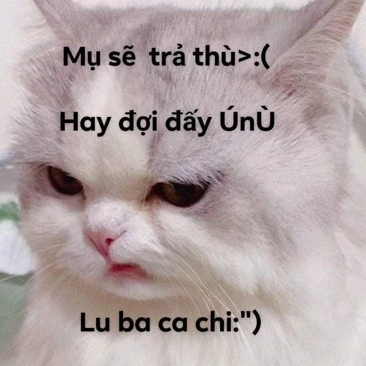 Thể hiện phong cách riêng với ảnh meme cực bựa