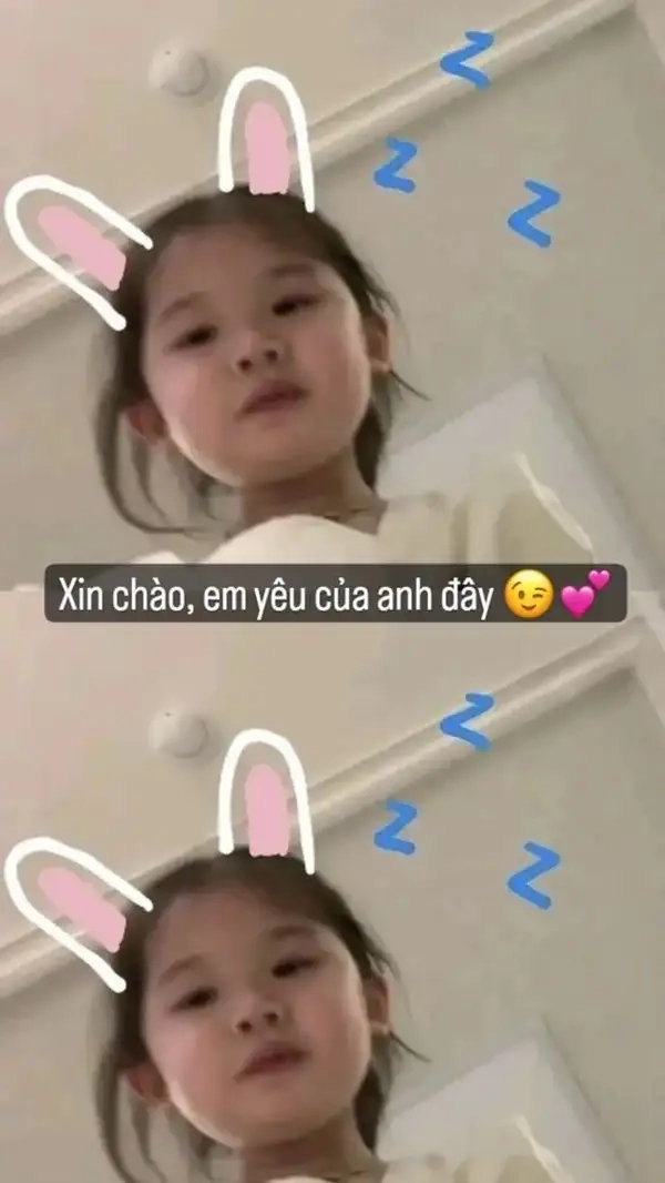 Meme xin chào cute siêu đáng yêu, khiến ngày mới thêm vui