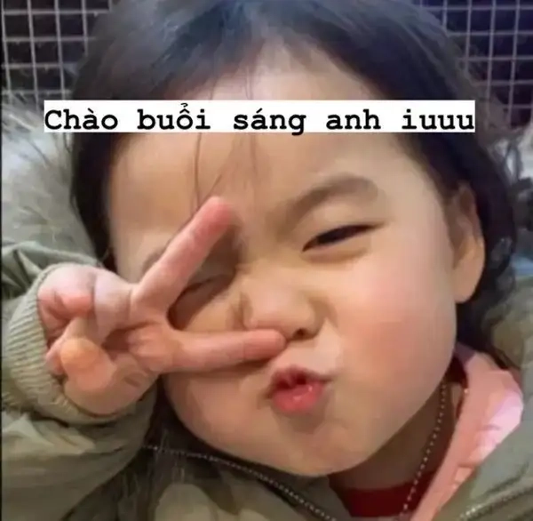 Hình ảnh xin chào meme dễ thương, mang lại niềm vui mỗi ngày