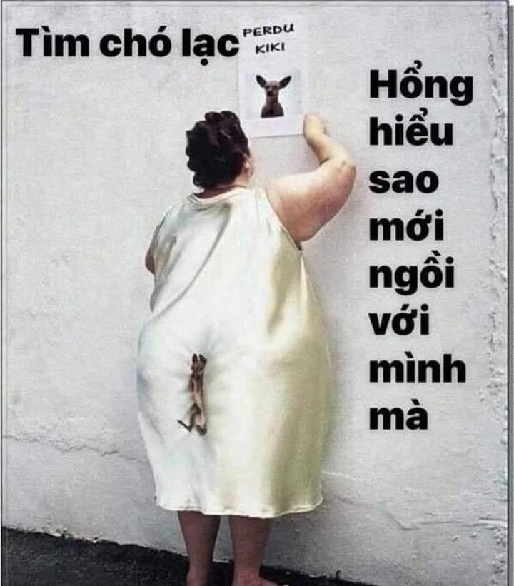 Hình chó cười dễ thương và vui nhộn