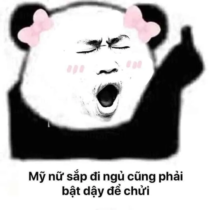 Khám phá meme ngủ ngon mèo đáng yêu và ngộ nghĩnh