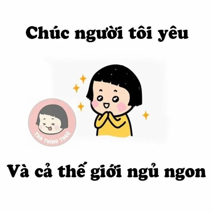 Mèo meme ngủ dễ thương, mang lại cảm giác ấm áp