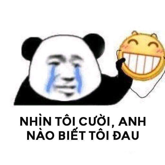 Há mồm cute meme mèo cười với biểu cảm độc đáo