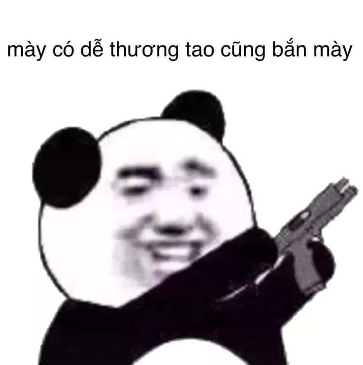 Ảnh mèo meme cười với biểu cảm hài