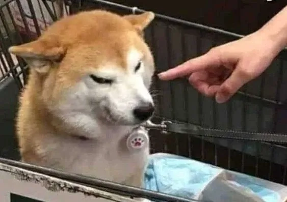 Hài hước không đỡ nổi với loạt meme doge cầm súng cực ngầu