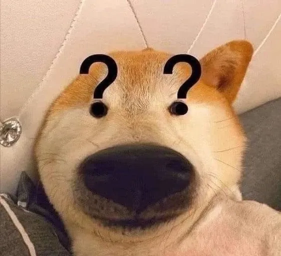 Đừng bỏ lỡ meme doge cheems siêu hài trên mạng xã hội