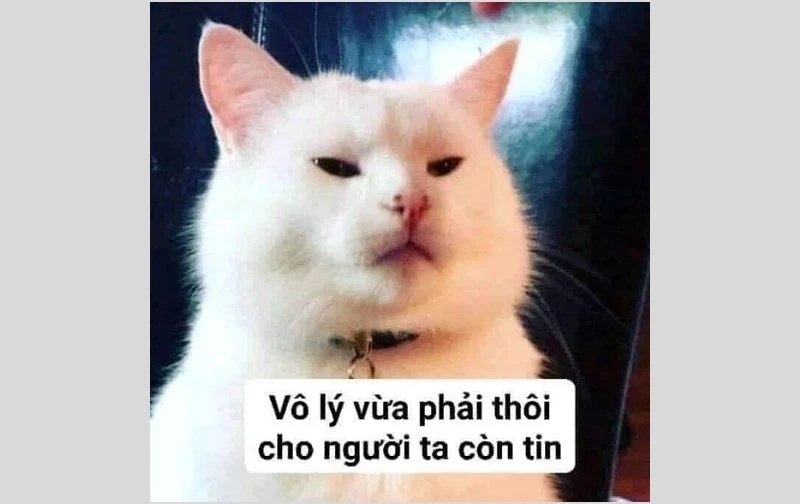 Meme dỗi cute này cực hot, nhìn là yêu ngay