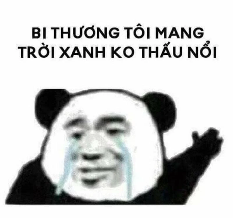 Meme giận dỗi cute khiến bạn không thể ngừng yêu