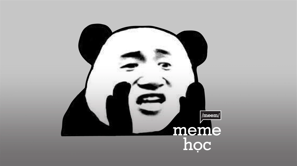 Mèo Tom meme face với biểu cảm hài đặc trưng