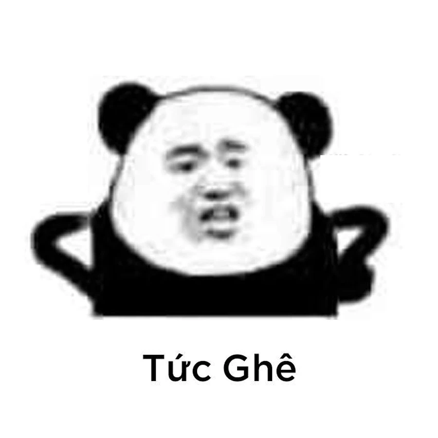 Ngạc nhiên nhưng cực hài với meme gấu trúc ngạc nhiên