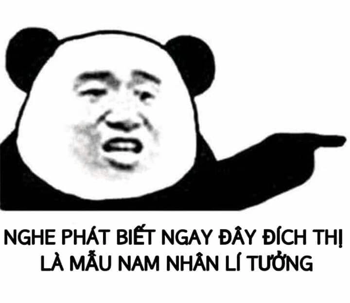 Dễ thương hết nấc với meme mắt gấu trúc