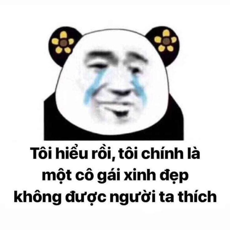 Vui nhộn và ý nghĩa qua meme con gấu trúc trung quốc