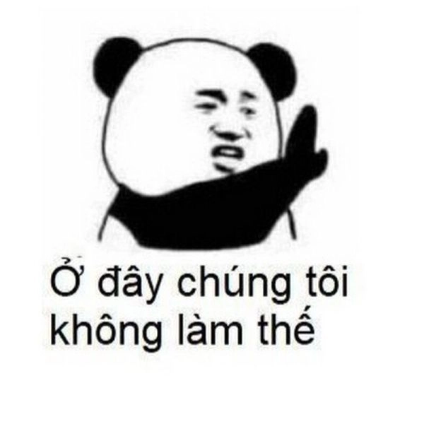 Vui nhộn với meme con gấu hồng đáng yêu