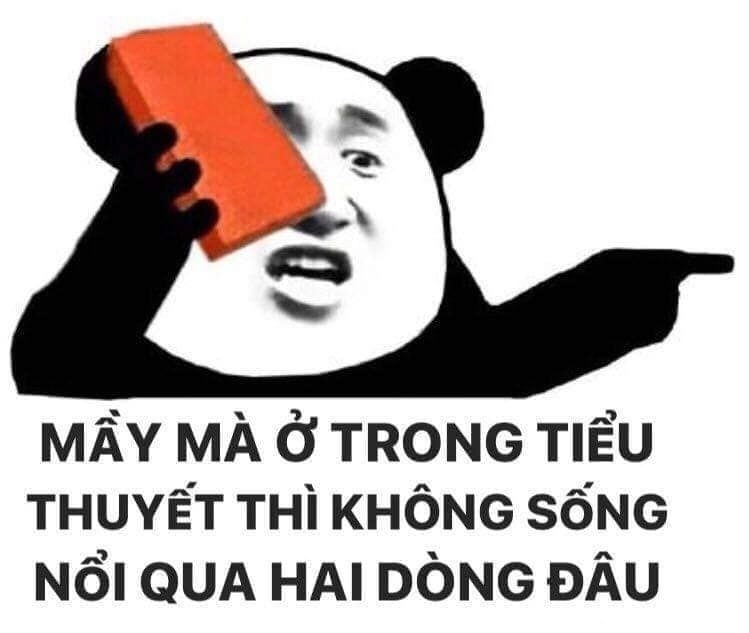 Xem ngay ảnh gấu meme ngộ nghĩnh và dễ thương