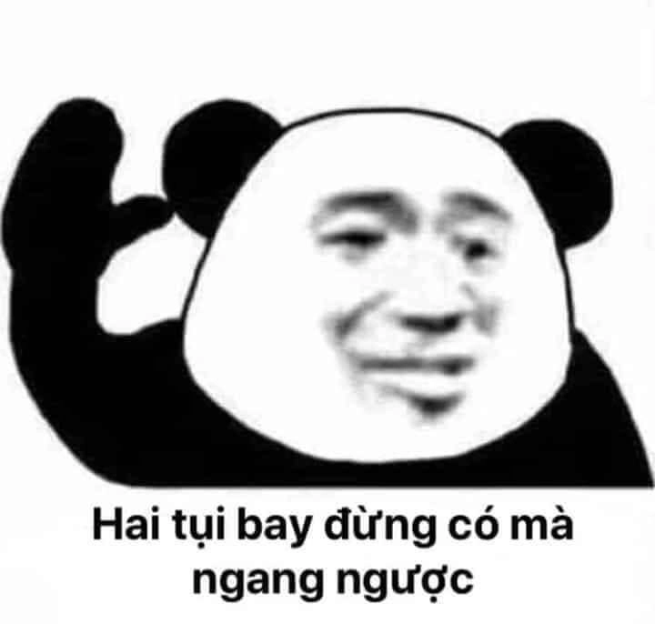 Cảm giác thú vị qua meme con gấu