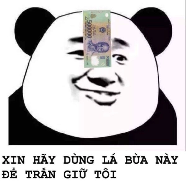 Thưởng thức sự dễ thương từ meme gấu trắng