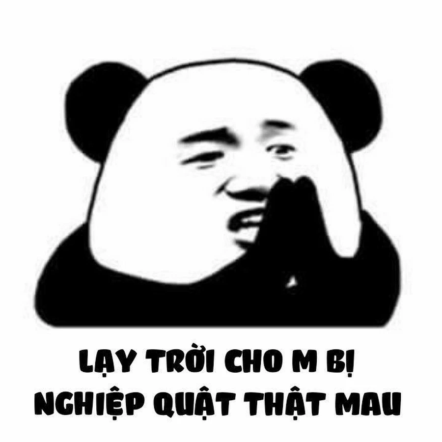 Thả lỏng cùng meme gấu trúc cười đáng yêu