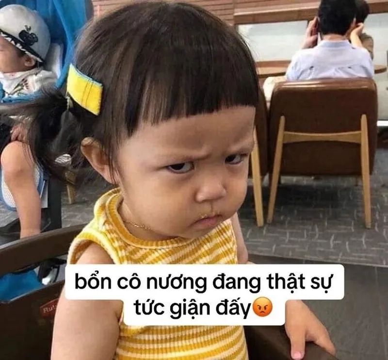 Mèo giận dữ meme mang lại tràng cười không ngớt