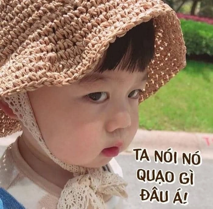 Bộ sưu tập ảnh mèo cute meme giận dỗi đáng yêu nhất