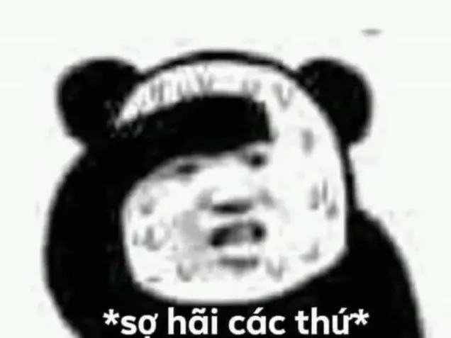 Meme mèo tức giận khiến bạn không nhịn được cười