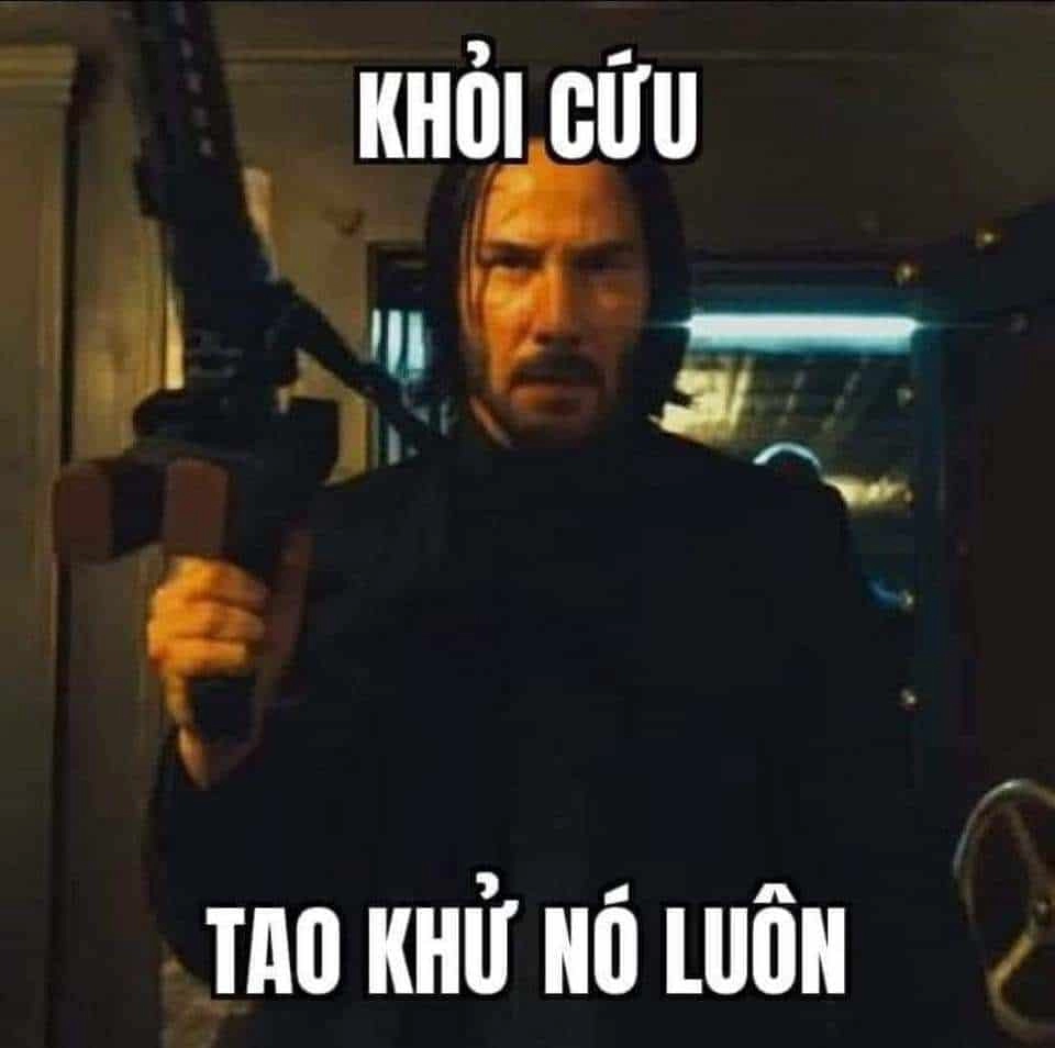 Meme hết cứu mèo dành cho người yêu thú cưng