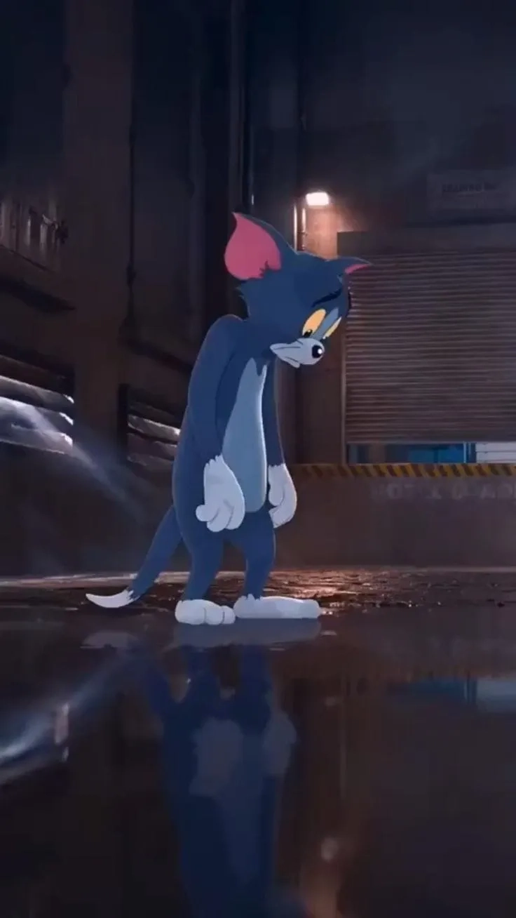 Khám phá ngay mèo Tom và Jerry meme siêu đáng yêu và hài hước