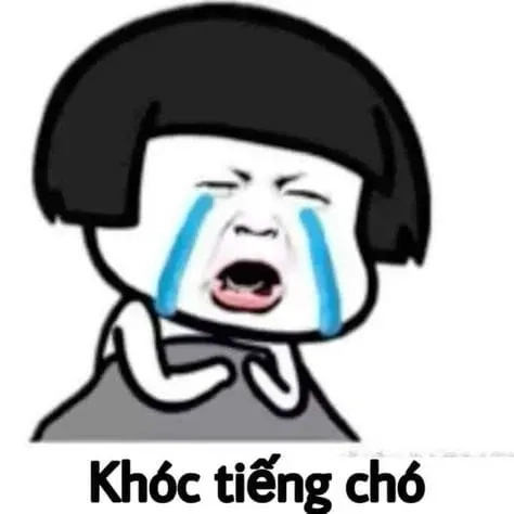 Ảnh meme mèo khóc hài hước và đáng yêu