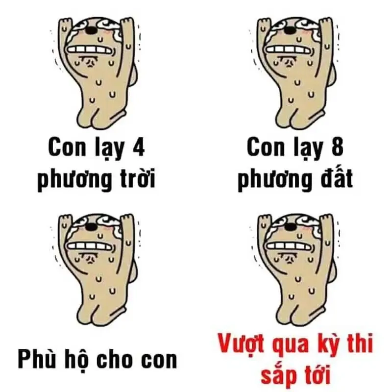 Meme quỳ không chỉ hài hước mà còn thể hiện một sự chấp nhận, đôi khi là sự bất lực.