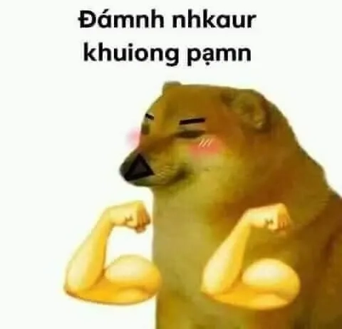 Meme gấu trúc đánh dễ thương, cực kỳ hài hước