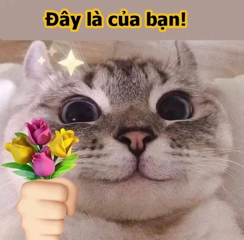 Tặng em bông hoa meme cực kỳ dễ thương và thể hiện sự quan tâm chân thành.