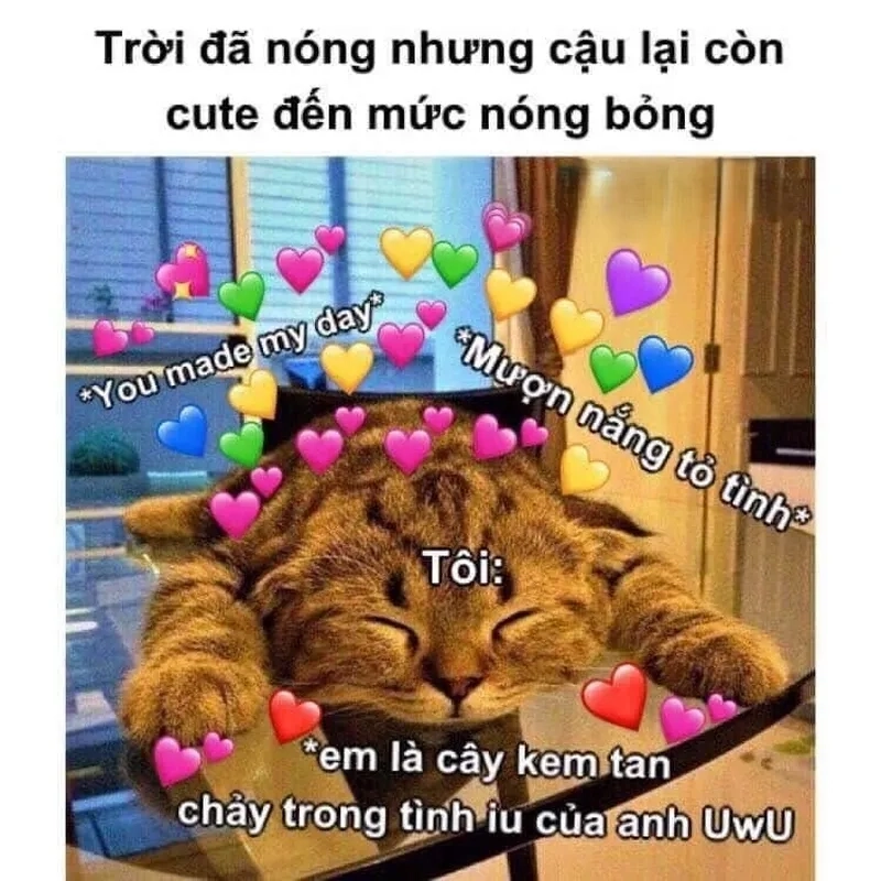 Meme tình cảm ngọt ngào, gửi gắm cảm xúc trọn vẹn