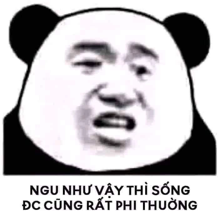 Biểu cảm ngộ nghĩnh của chú đười ươi, đúng chuẩn orangutan meme