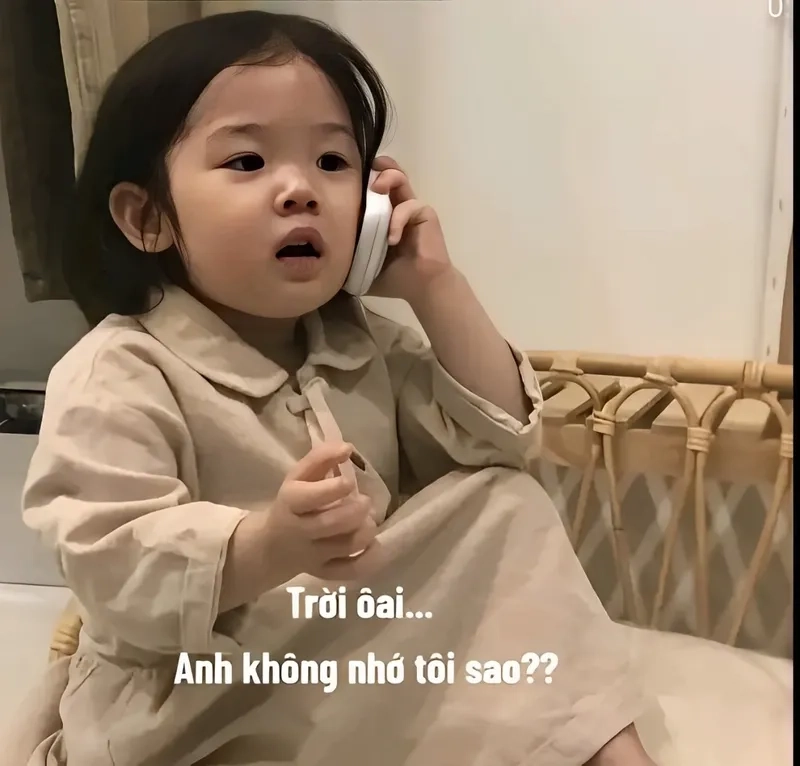 Meme mèo nhớ người yêu này cực kỳ dễ thương và tràn ngập tình cảm.