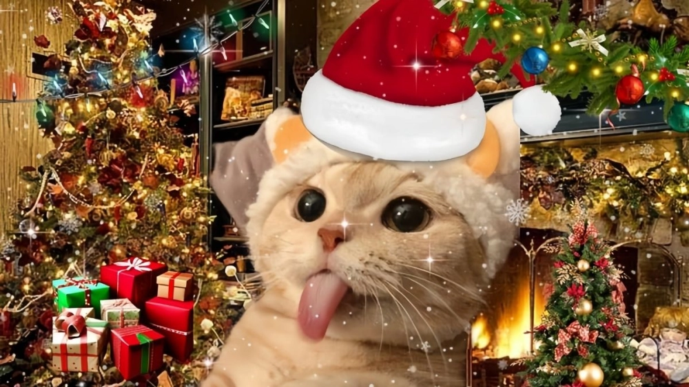 Meme mèo noel cute này chắc chắn sẽ làm bạn tan chảy vì độ dễ thương của nó.