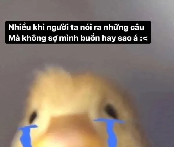 Sad and happy meme biểu cảm đa sắc thái, ngộ nghĩnh