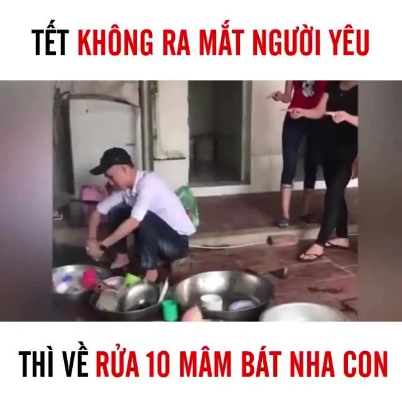 Tạo phong cách mới qua avatar mèo meme tết