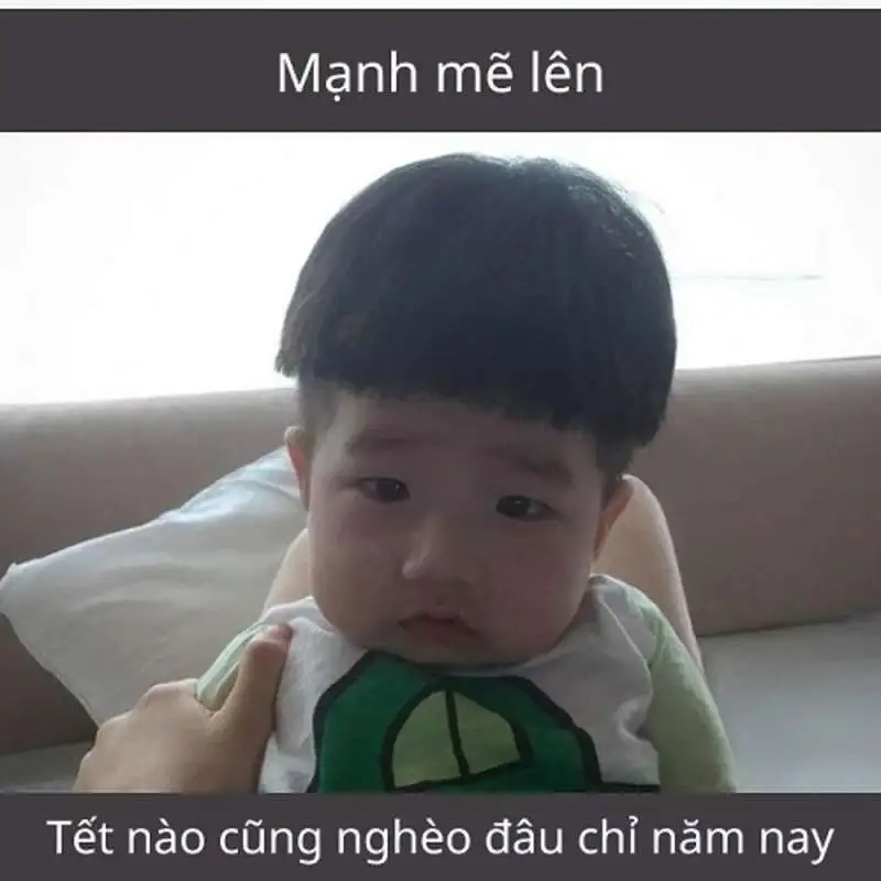 Thêm không khí tươi vui với ảnh tết meme mèo