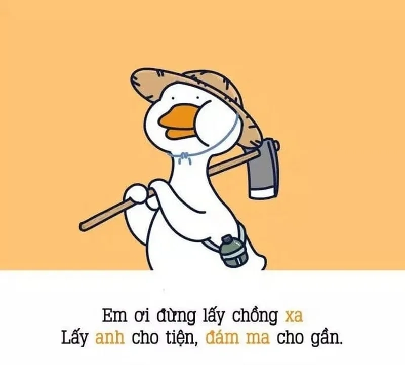 Tận hưởng tiếng cười qua cute ảnh meme hài vui nhộn