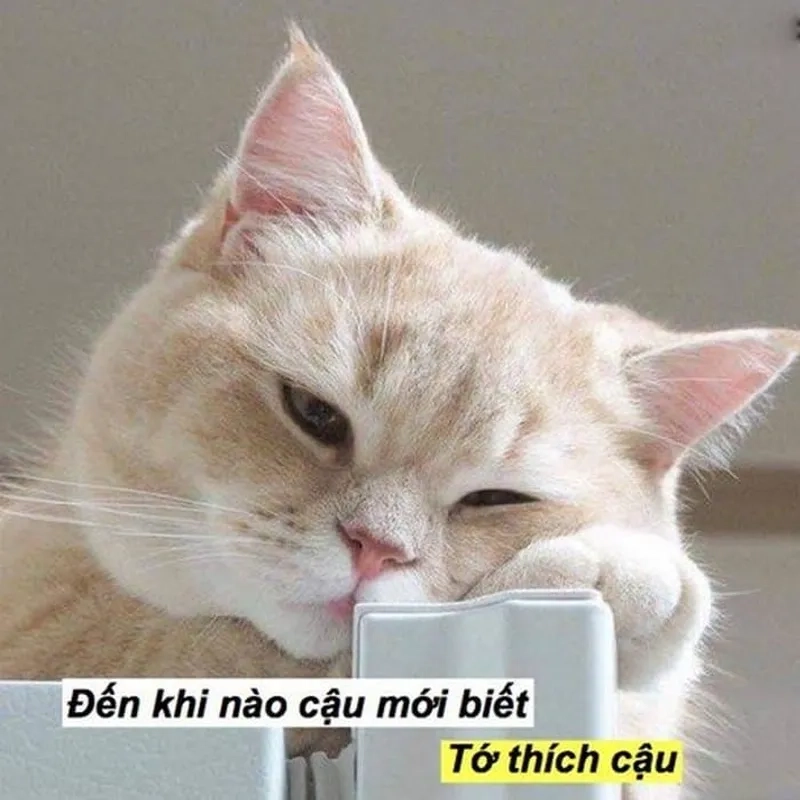 Meme sạc pin tình yêu siêu lầy, gửi ngay cho người ấy