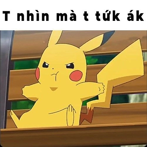 Đáng yêu và hài hước với mèo meme tức