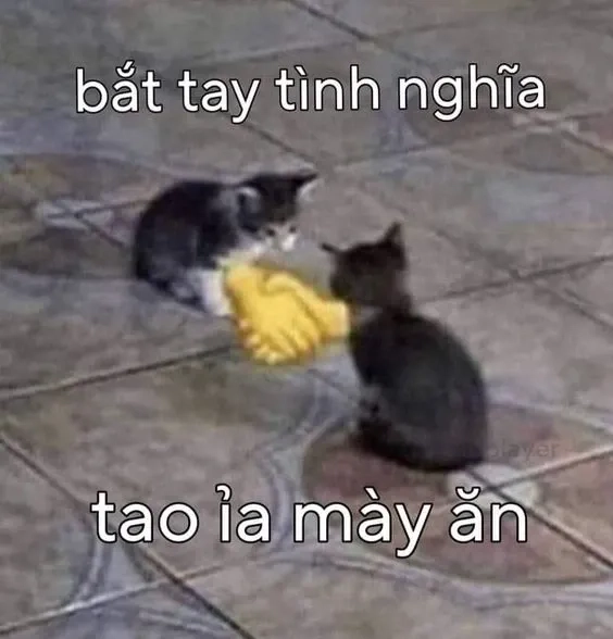 Đậm chất hài hước từ yugioh card meme việt nam