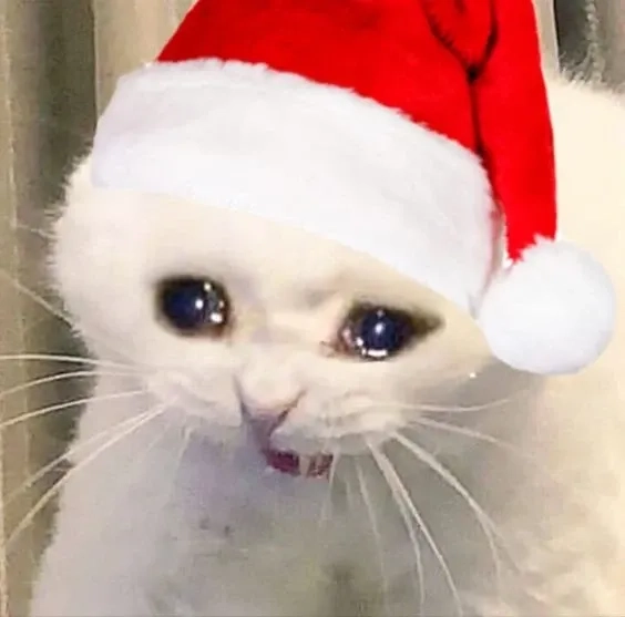 Cùng vui đón Noel với mèo meme noel, đáng yêu và dễ thương