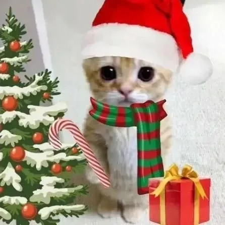 Khi mèo khóc, meme mèo khóc cute sẽ mang đến một cảm giác dễ chịu và đáng yêu